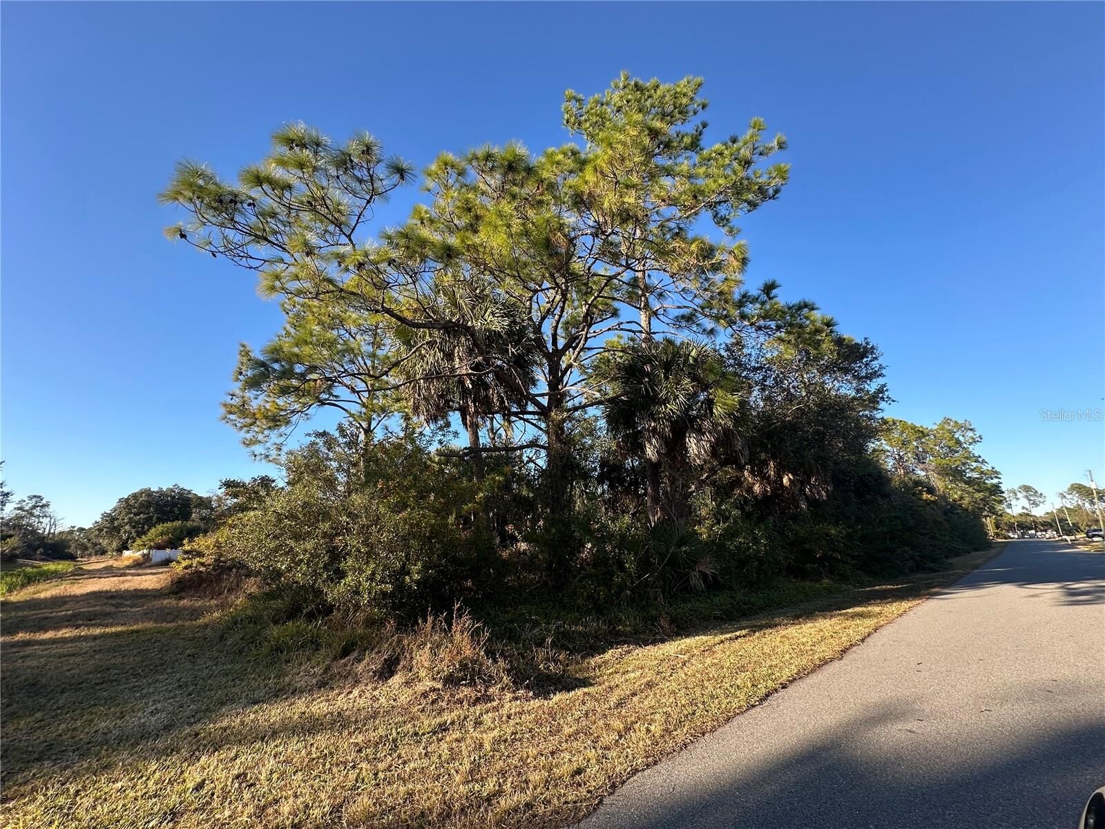 Property Photo:  Clarke Street  FL 34286 