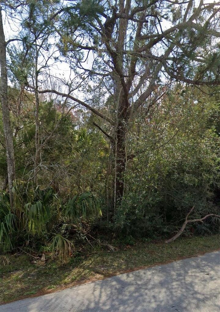 Property Photo: 12 Selma Trail FL 32164