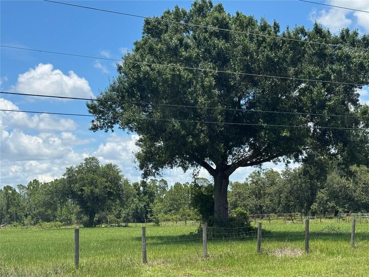Property Photo:  Lot 12 Tropicaire Boulevard  FL 34286 