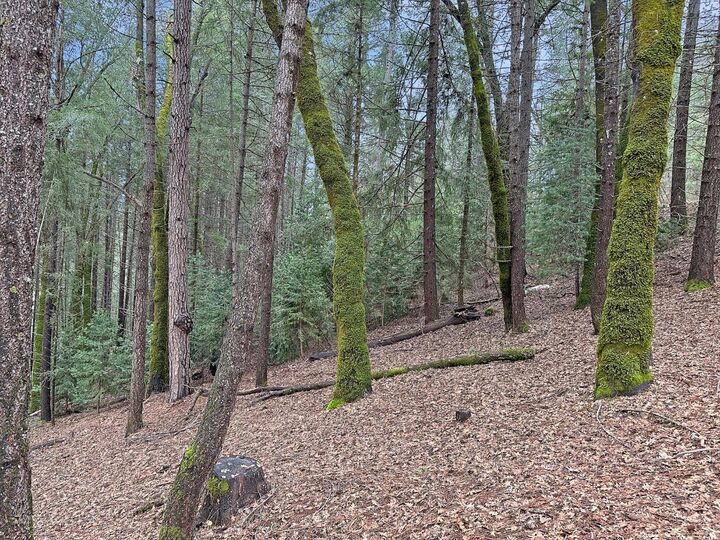 Property Photo:  17871 Rollins View Drive  CA 95945 
