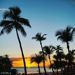 Property Photo: 809 Bell Boulevard S FL 33974