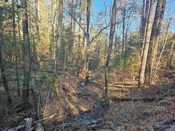 Property Photo:  Lt 1620 Nexus Drive  GA 30540 