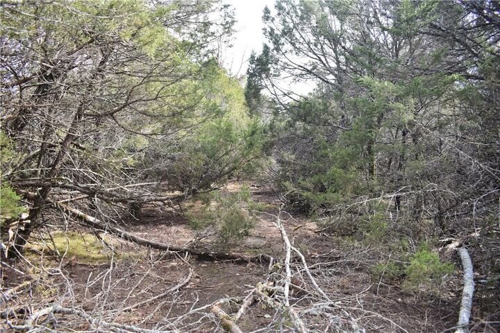 Property Photo:  * Cedar Creek Road  AR 72634 