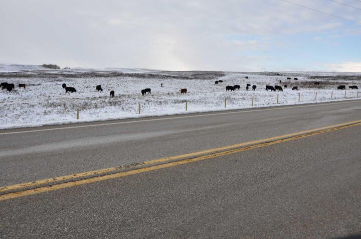 Property Photo: Range Road 14 Big Hill Springs AB T0T 0T0