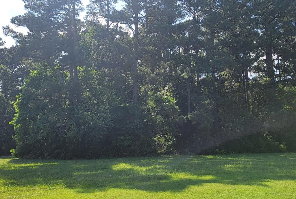 Property Photo:  Lot 67 Atlantic St  VA 23301 