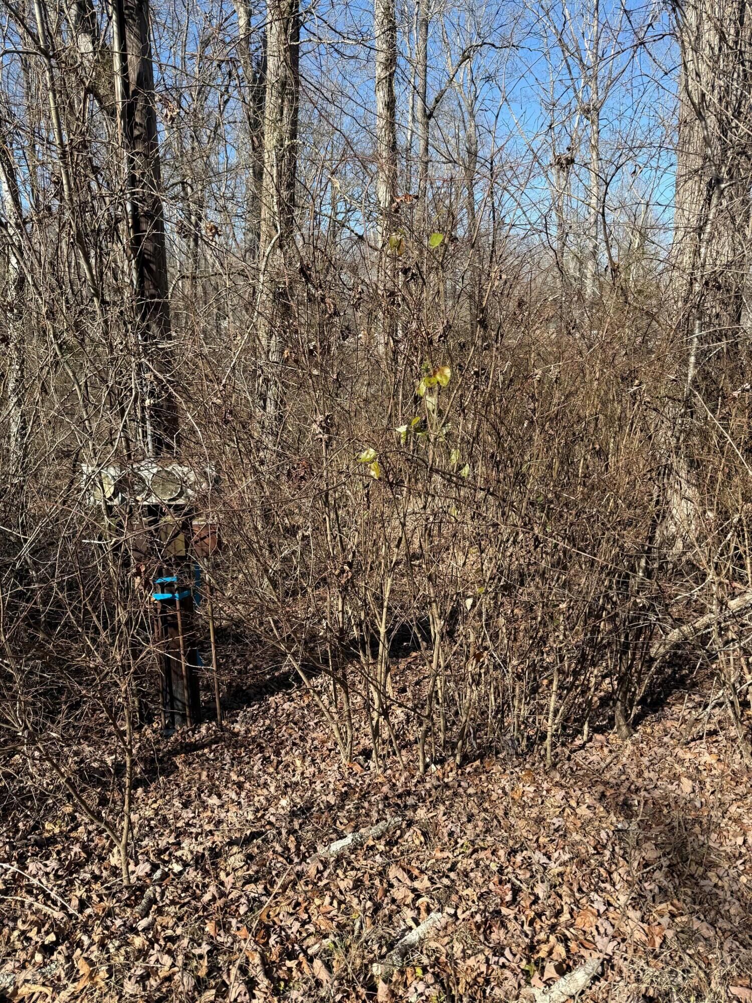 Property Photo:  122 Hickory Hollow Road  TN 38572 