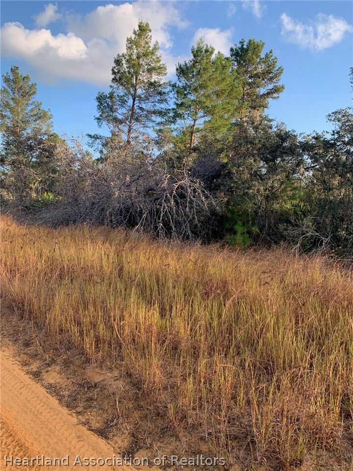 Property Photo:  2907 W Seville Drive  FL 33825 