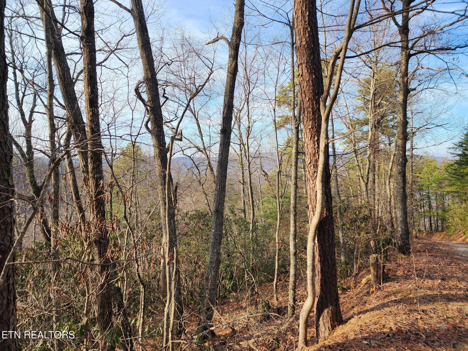 Property Photo:  3008 Overholt Trl Lot 8R  TN 37862 