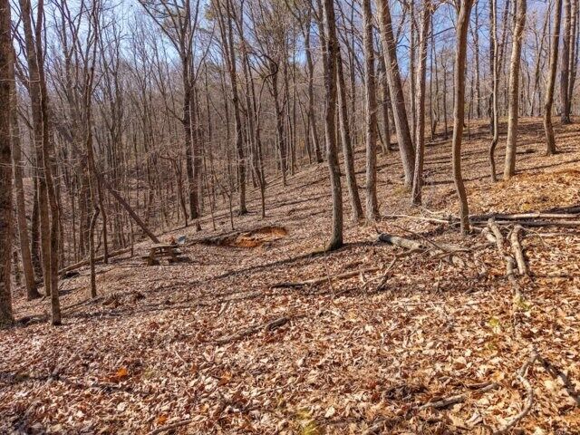 Property Photo:  1110 Mayfield Lane  GA 30734 