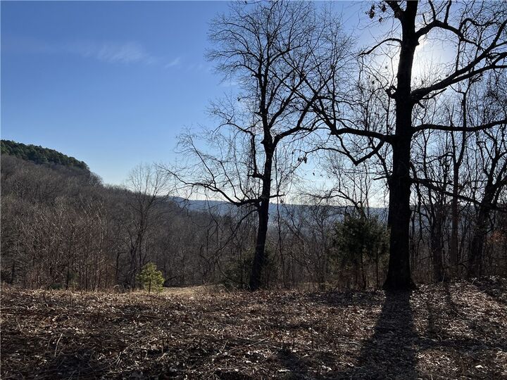 Property Photo: Terrapin Road AR 72601