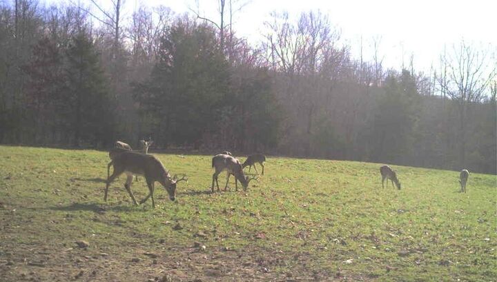 Property Photo:  3285 Madison Cr 3205  AR 72752 