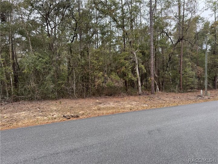 Property Photo:  10350 N Academy Drive  FL 34434 