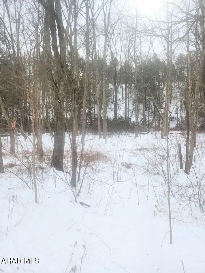 Property Photo:  0 Brush Creek Road  PA 15533 