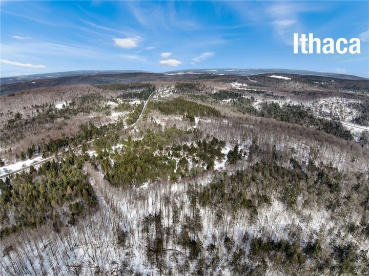 Property Photo:  169 Irish Hill Road  NY 14867 