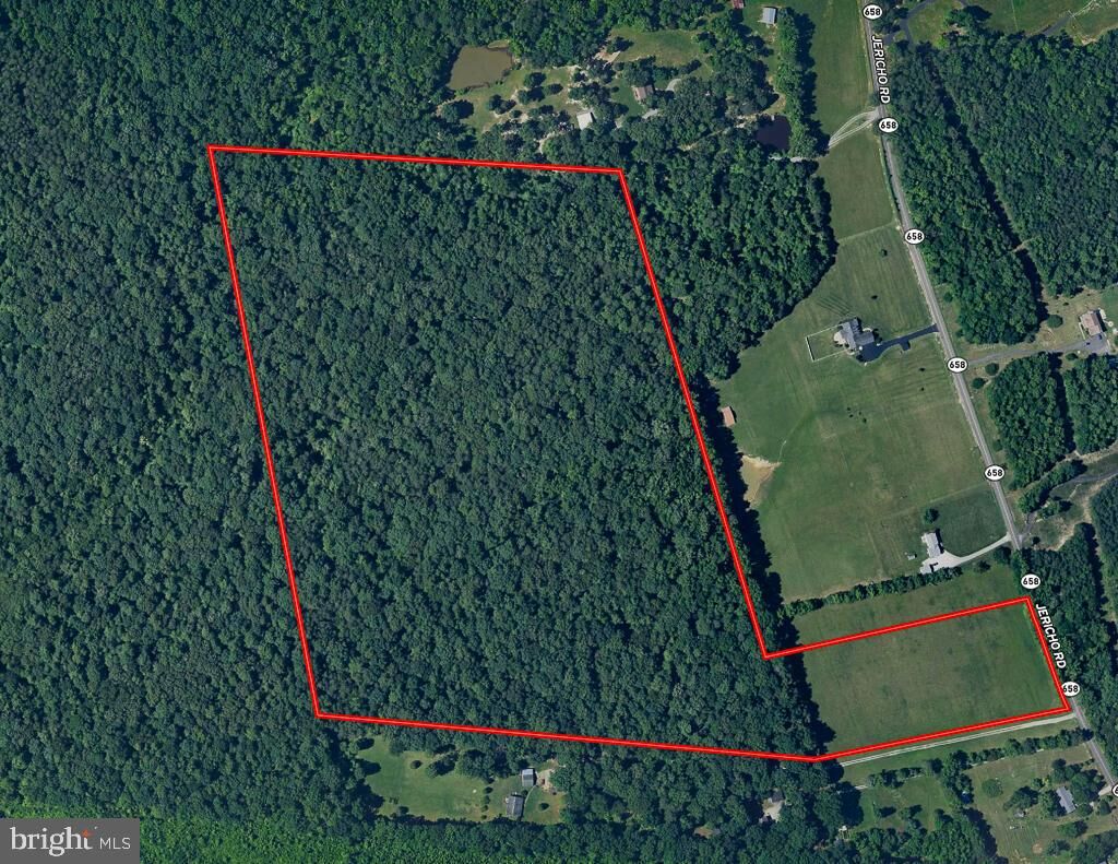 Property Photo:  49.26 Acres Jericho Road  VA 22546 