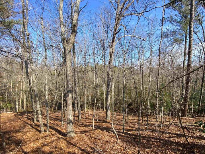 Property Photo:  Tbd 1 Juniper  SC 29843 