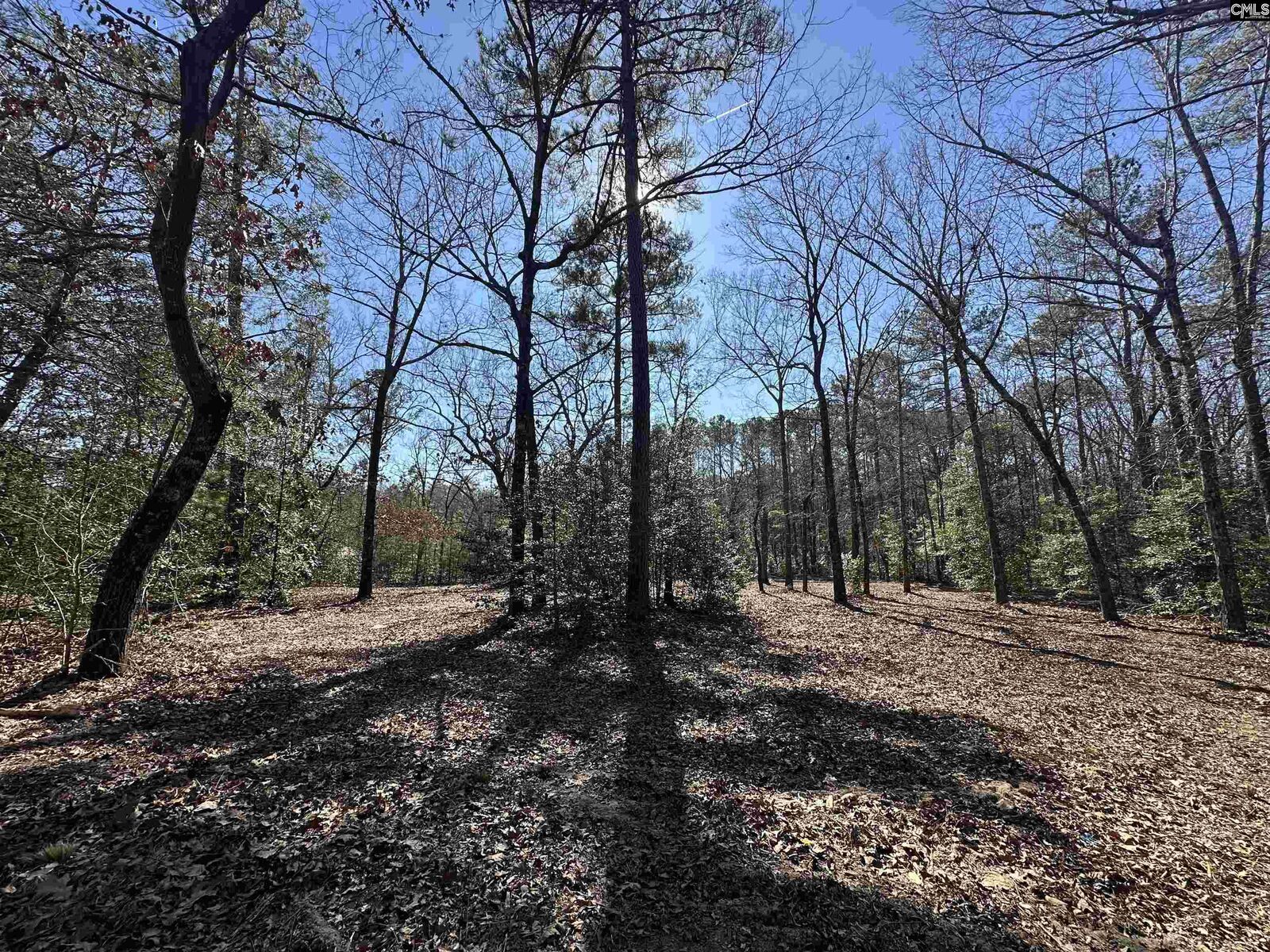 Property Photo:  622 Juniper Springs  SC 29054 