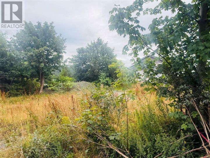 Property Photo:  1253 Main Road  NL A0B 1S0 