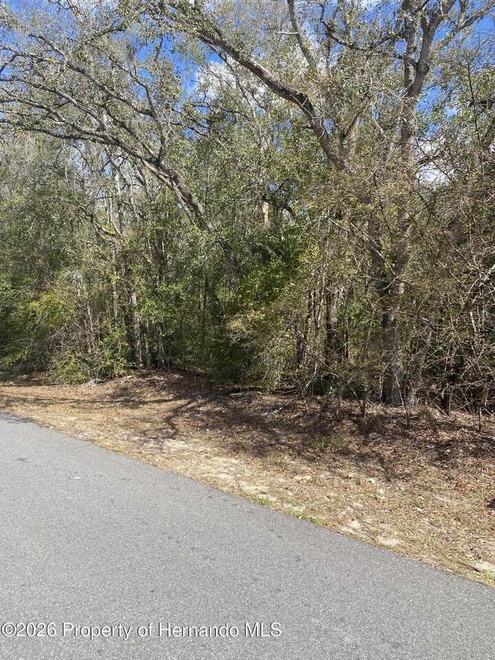Property Photo:  0 English Sparrow Road  FL 34614 
