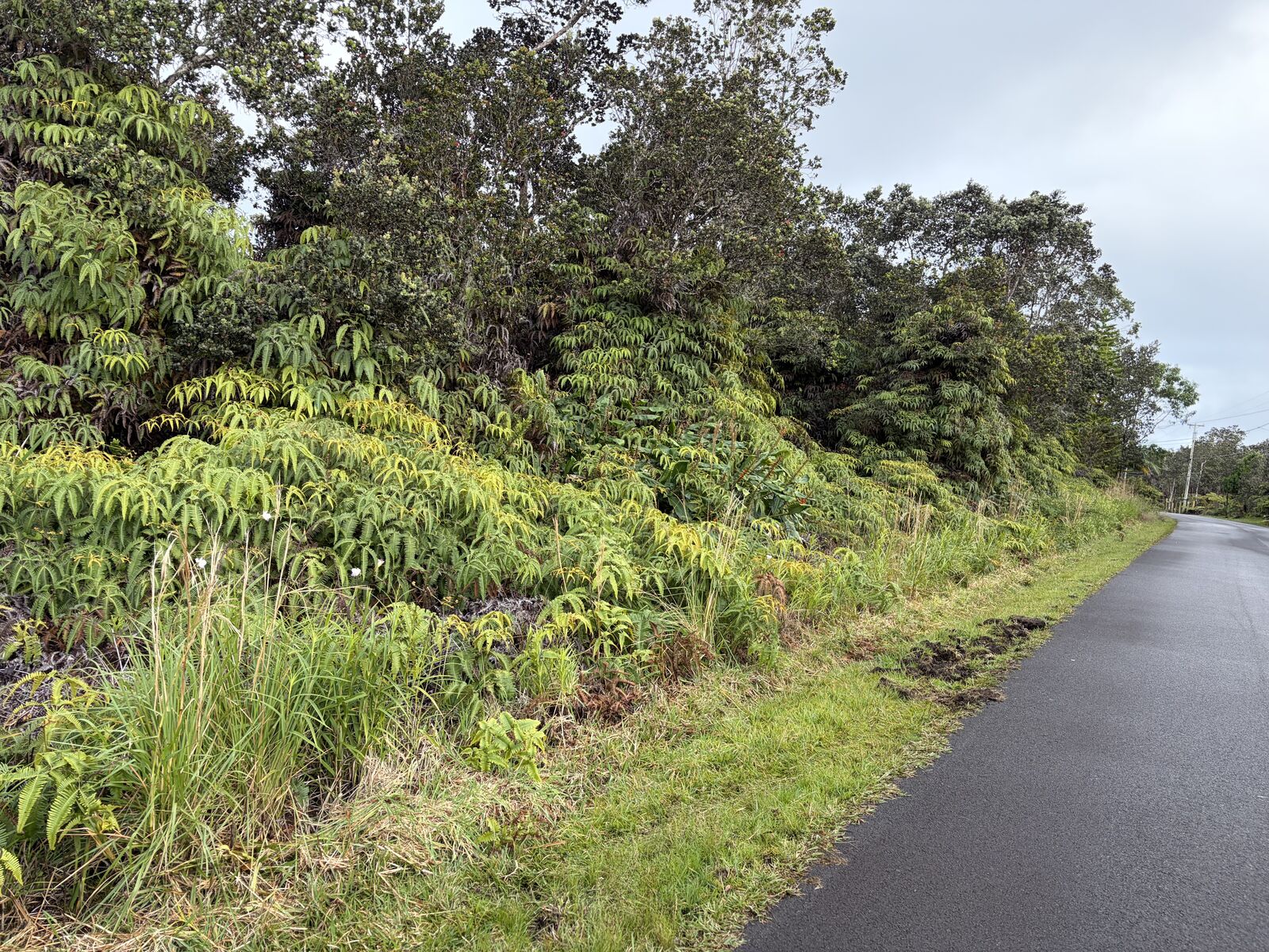 Property Photo:  Nahelenani St  HI 96785 