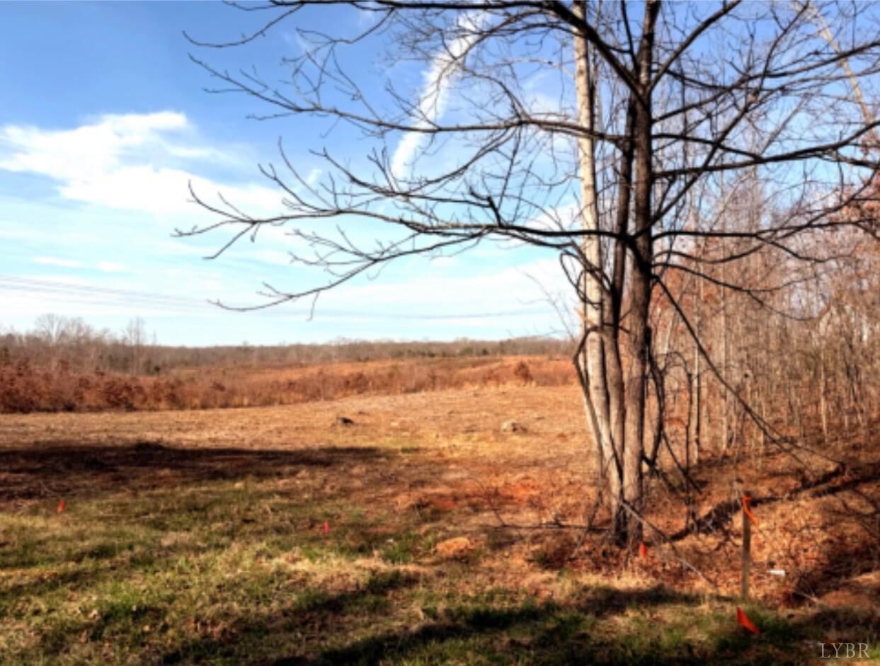 Property Photo:  3 Buffalo Mill  VA 24550 