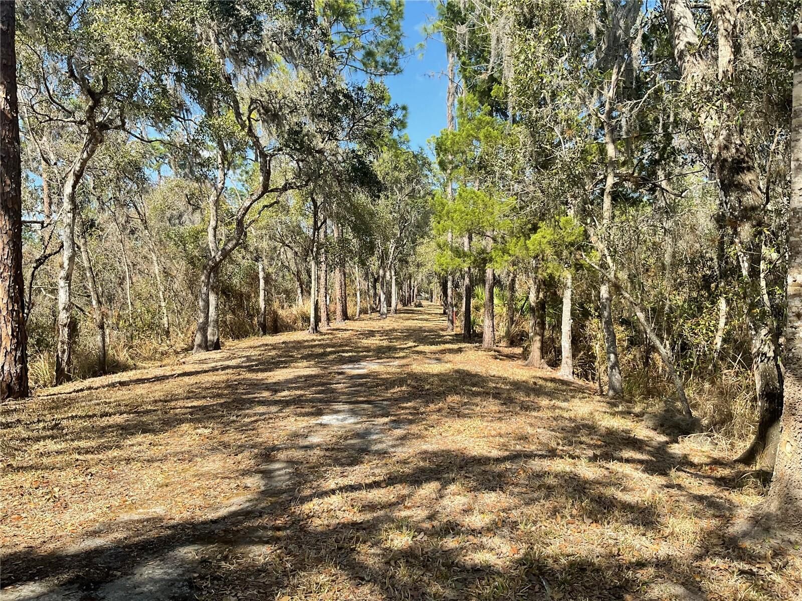 Property Photo:  4051-3803 Dixiana Drive  FL 33834 