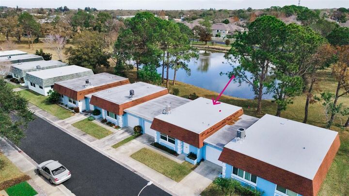 Property Photo:  8315 Burgundy Drive N 8315  FL 33781 