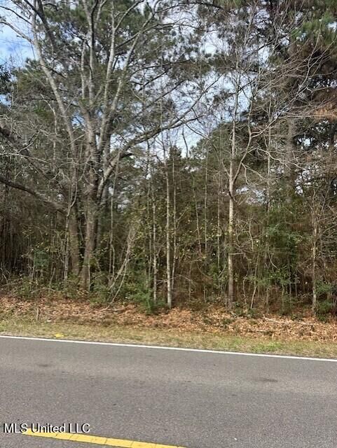 Property Photo:  Ms 53 Lot 15  MS 39503 