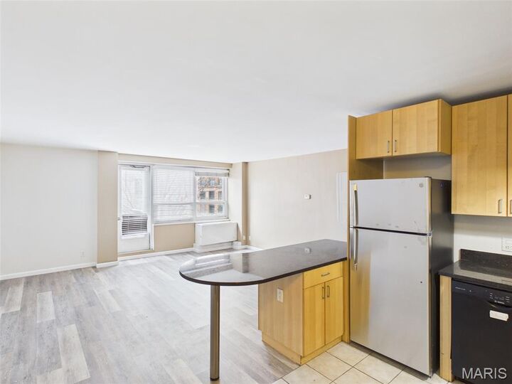 Property Photo: 210 N 17th Street 201 MO 63103