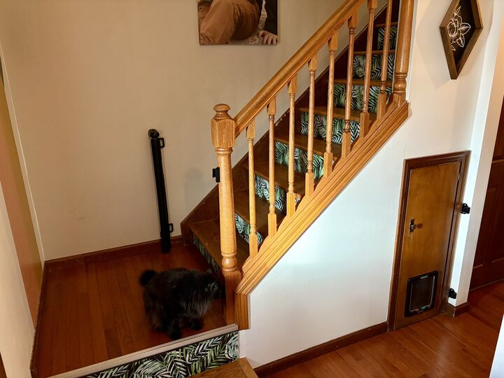 Property Photo: 66 Holiday Drive IL 61727