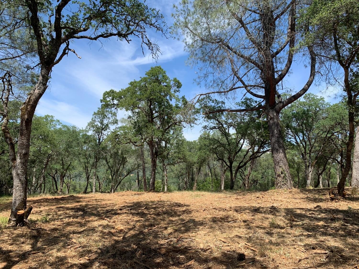 Property Photo:  555 Jurgens Road  CA 95672 