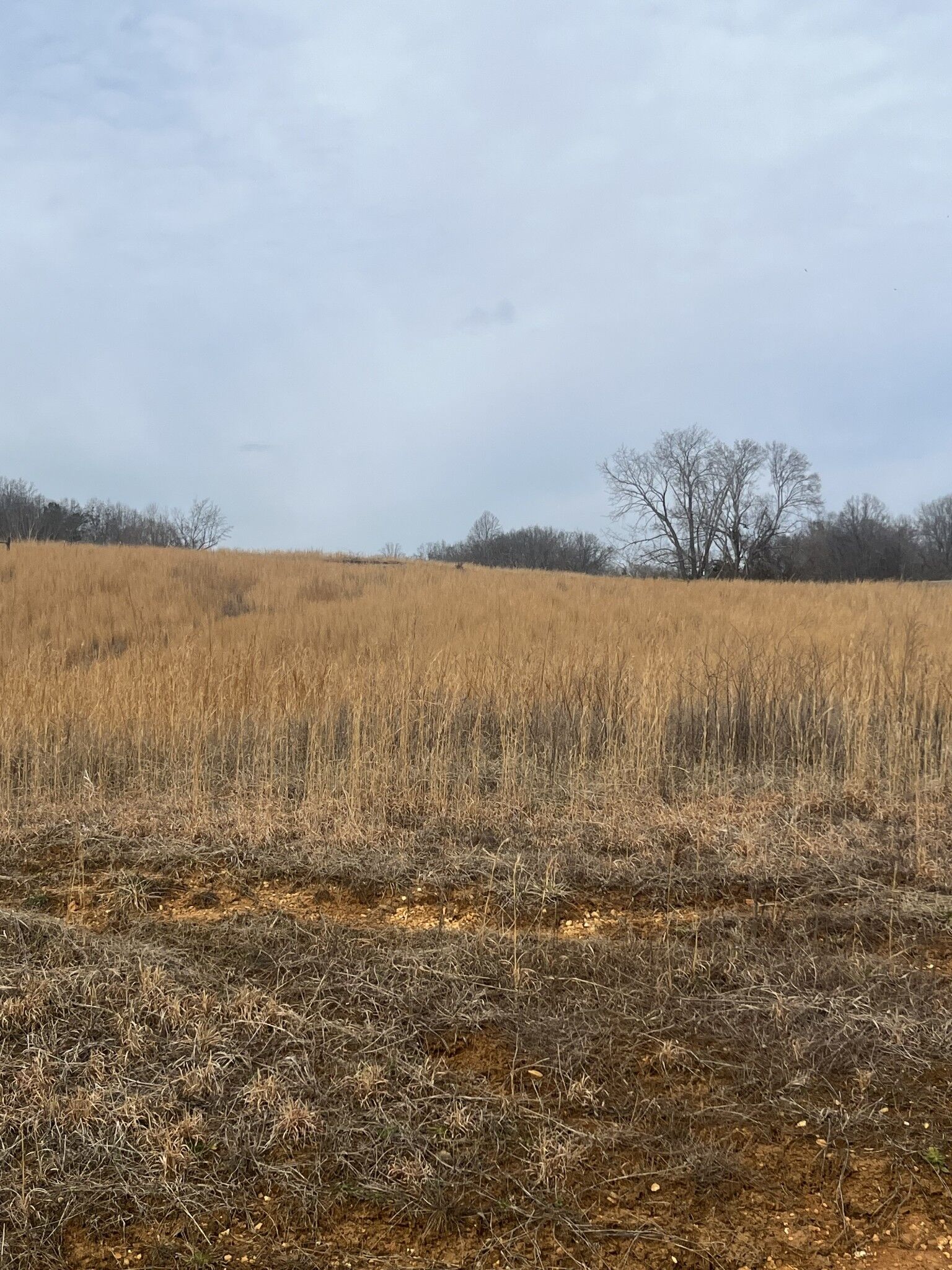 Property Photo:  0 Hidden River Rd  TN 38581 