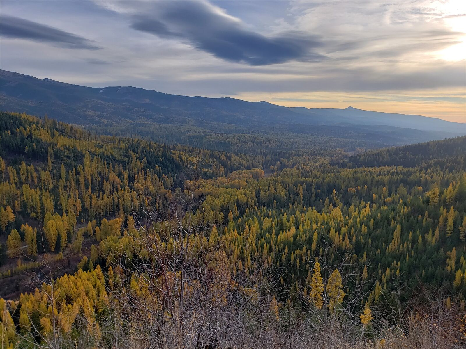 Property Photo:  Tbd Nine Mile Road  MT 59846 