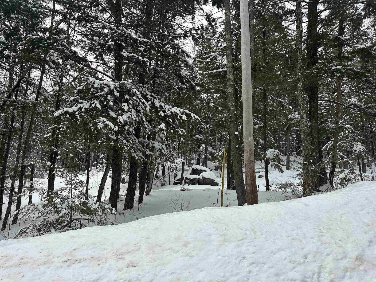 Property Photo:  00 North Road  NH 03260 