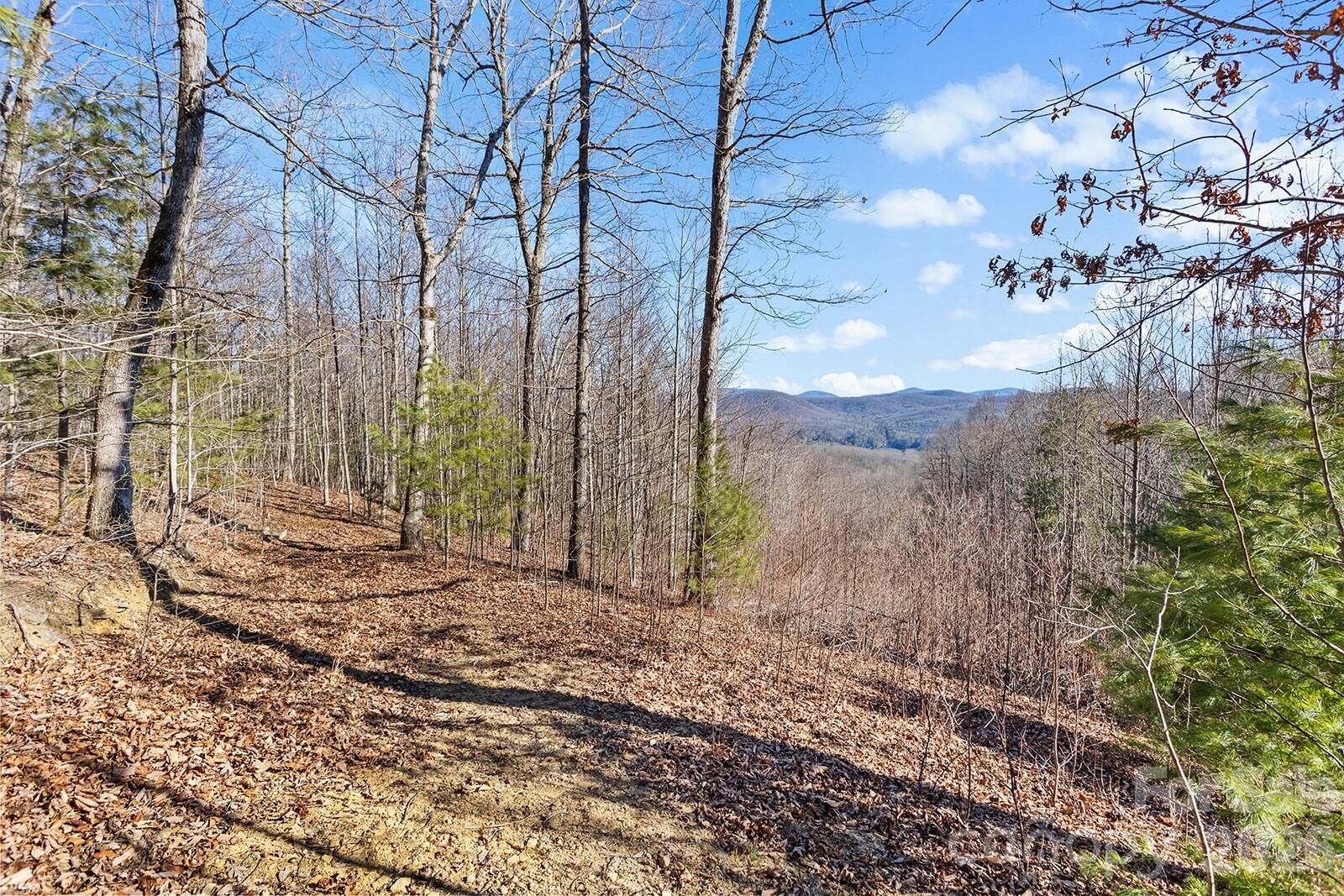 Property Photo:  0000 Pinnacle Mountain Road Lots 1,2,3,4  NC 28790 
