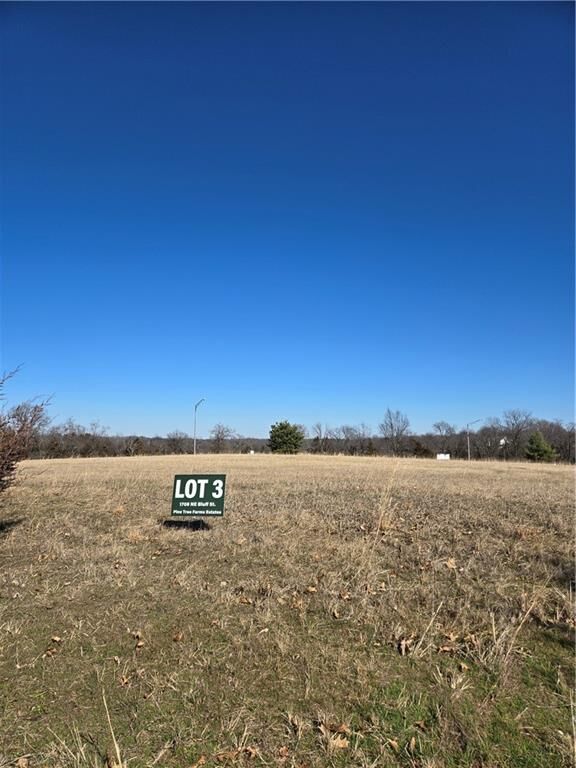 Property Photo:  1708 NE Bluff Street  MO 64086 
