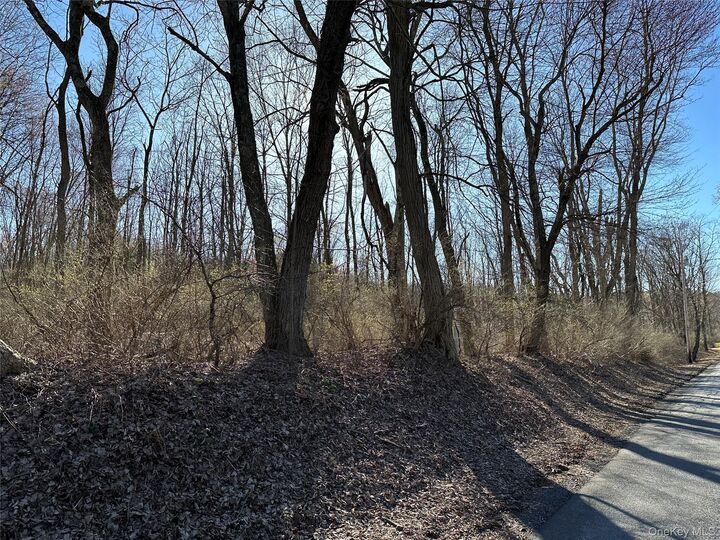 Property Photo:  Schoolhouse Road  NY 12580 