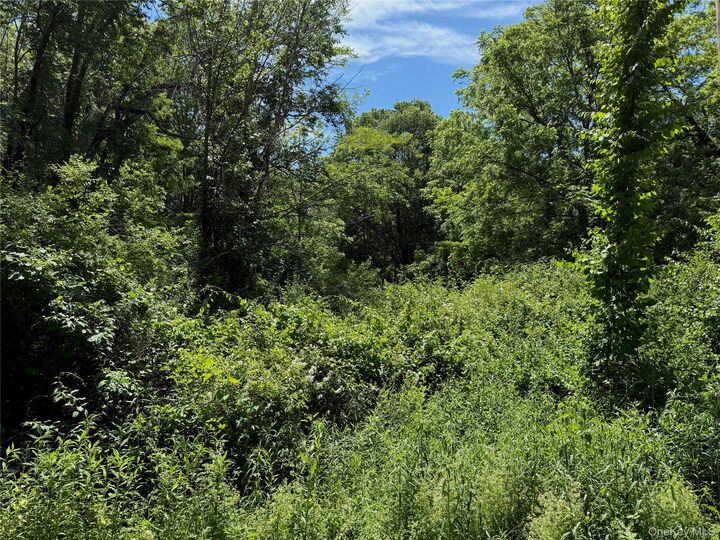 Property Photo: Schoolhouse Road NY 12580