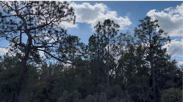 Property Photo: 12270 Peaceful Avenue FL 34614