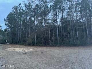 Property Photo:  Rouses Marina Road  MS 39565 