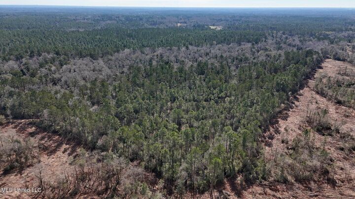 Property Photo:  Pete Hickman Road  MS 39574 