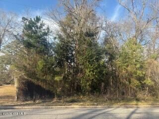 Property Photo:  002224 E Near 217 E Clay Street  NC 28472 