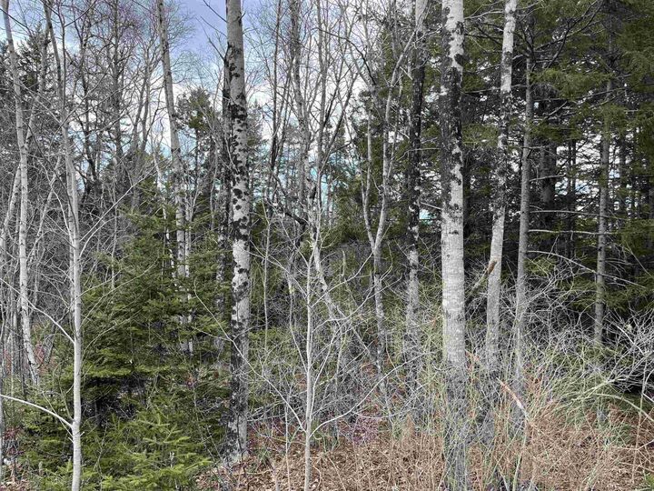 N-200 Sarty Road — photo 1