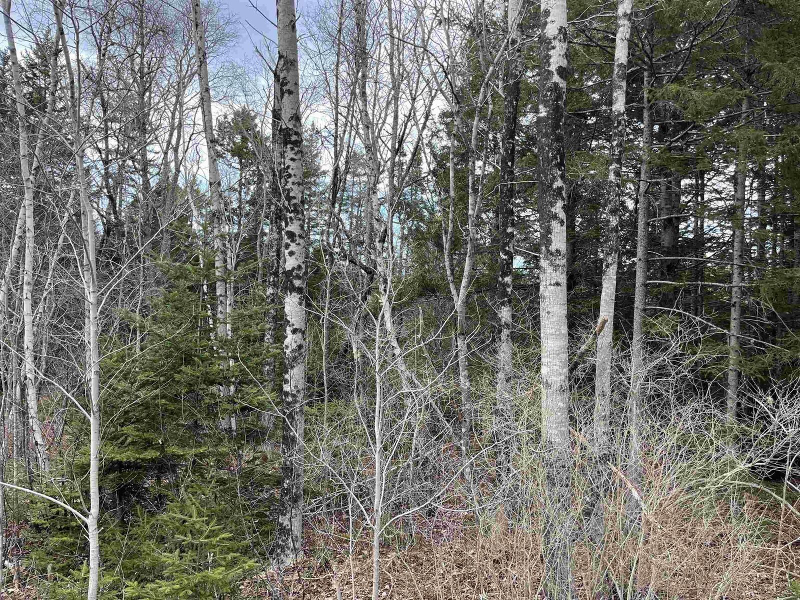 Property Photo:  N-200 Sarty Road  NS B4V 0X6 