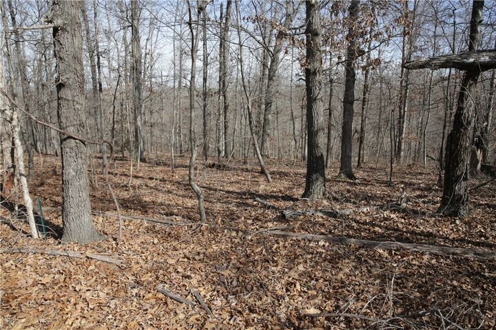 Property Photo:  Lot 2 Jimmy Lane  AR 72715 