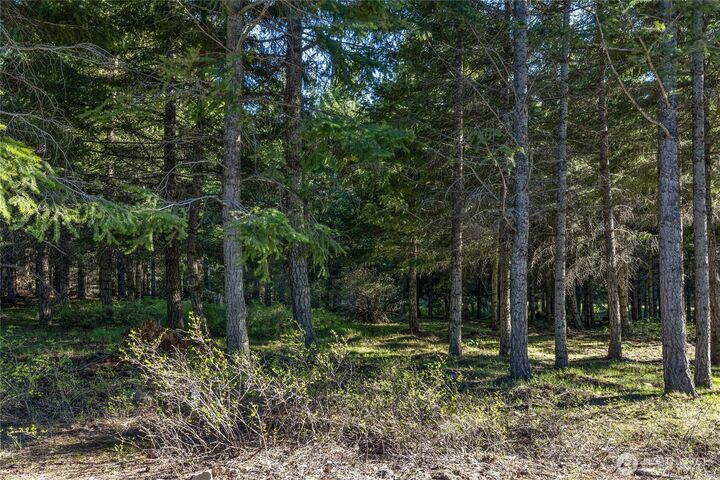 Property Photo:  80  Gold Fountain Lane  WA 98922 