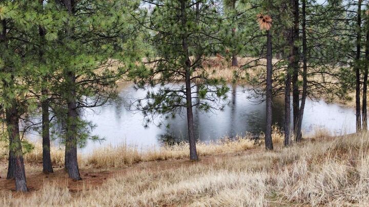 Property Photo:  Tbd Tukta Way  ID 83857 