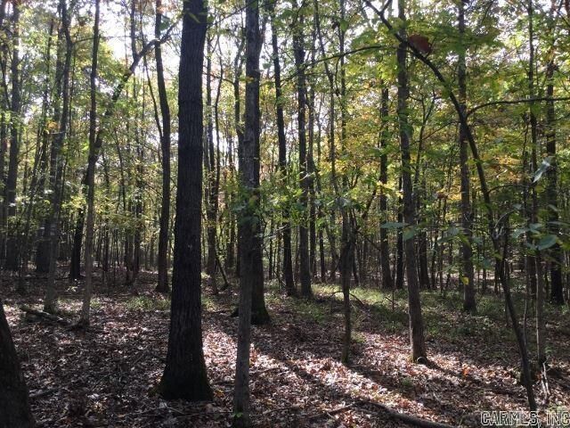 Property Photo: Unk Polk Road 293 AR 71953