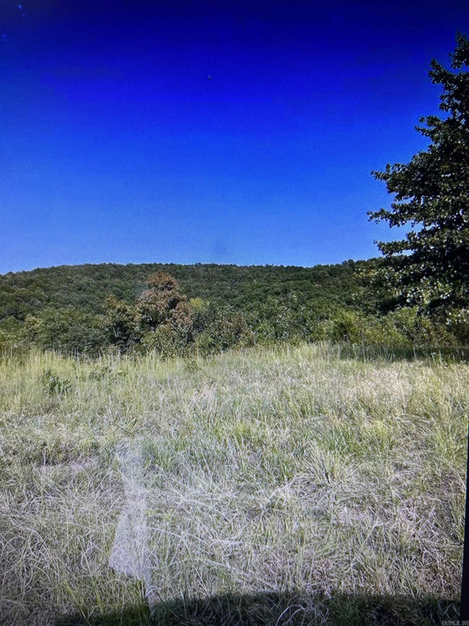 Property Photo:  0 Spears  AR 72058 