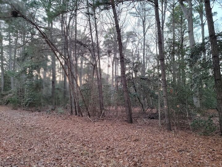 Property Photo:  Lot 7A1 Wilsonia Shores Dr  VA 23405 